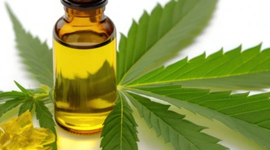 huile-fleurs-gelules-sous-quelle-forme-le-cbd-agit-il-le-plus-rapidement